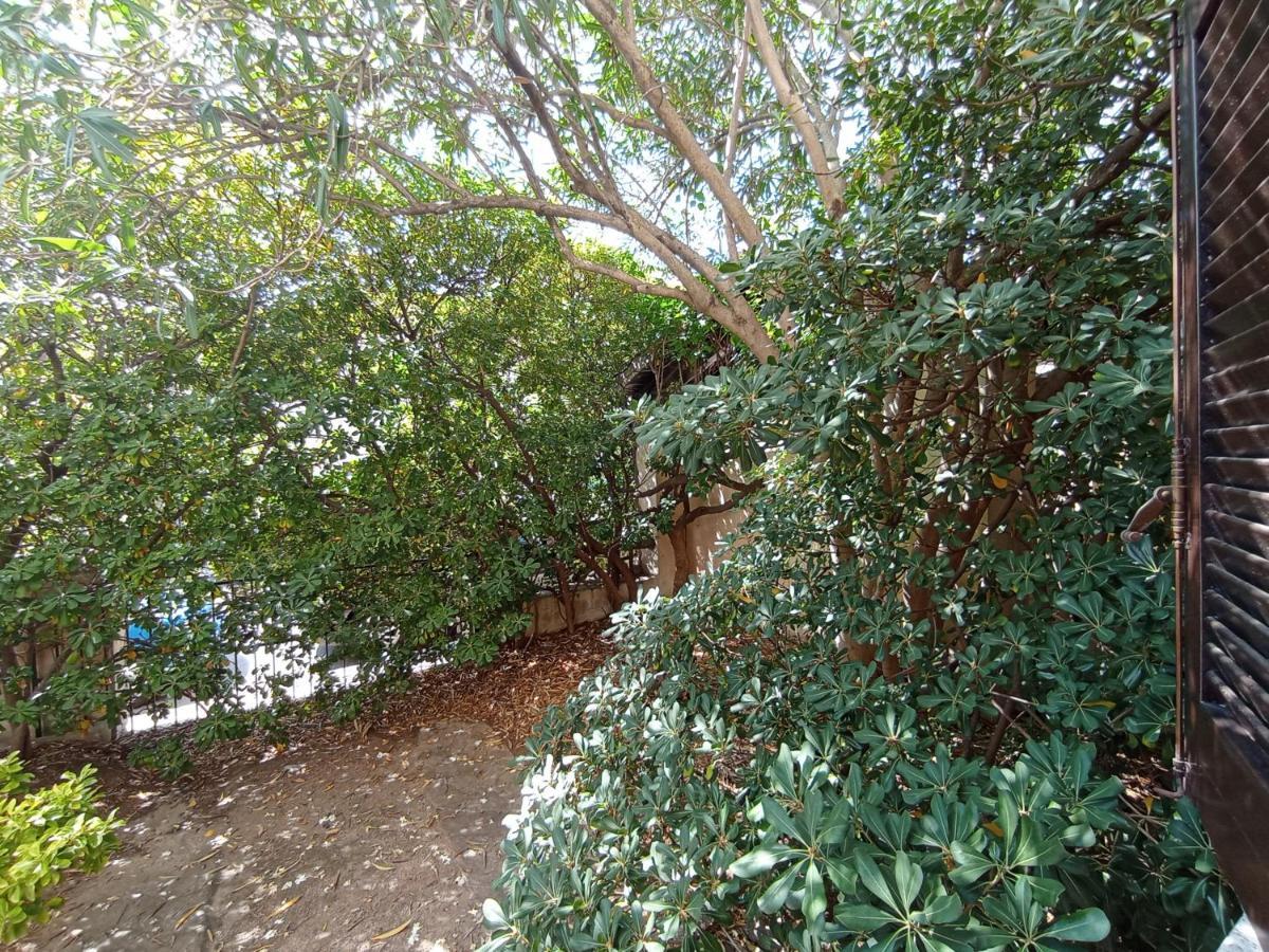 オルビア Domus Garden Bed & Breakfast エクステリア 写真