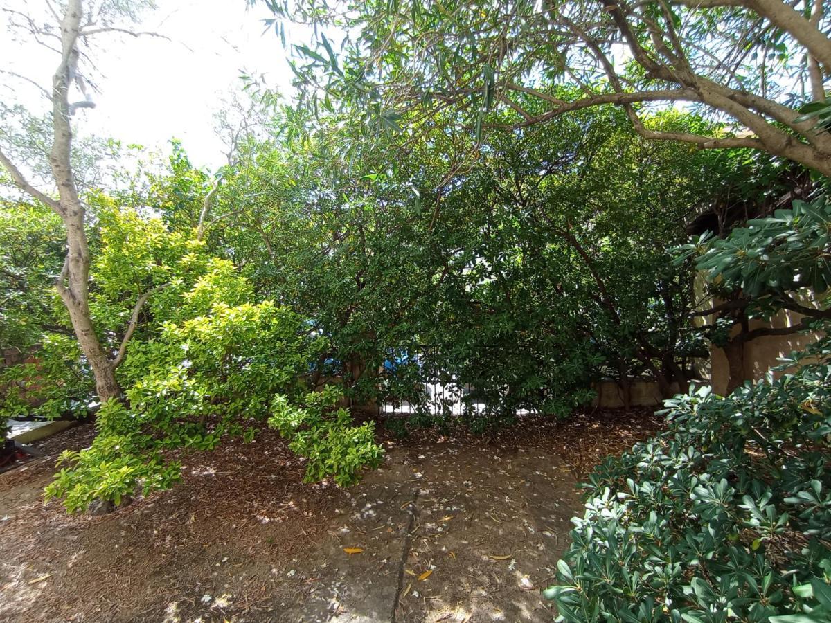 オルビア Domus Garden Bed & Breakfast エクステリア 写真